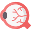 Ophthalmology